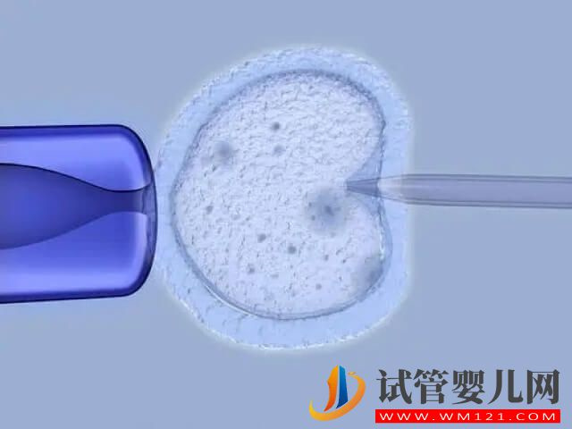 試管促排后取卵泡數量越多手術費用就越高嗎？(圖1)