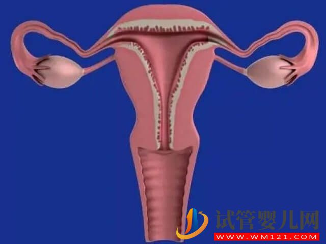 子宮肌瘤8m做試管嬰兒會影響一次就成功的概率嗎？(圖1)