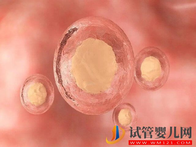 試管促排前B超顯示只有9個基礎卵泡最終能取幾個？(圖2)