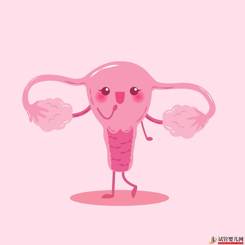 天津12家試管嬰兒醫(yī)院排名、成功率與費(fèi)用是否醫(yī)保報(bào)銷(xiāo)?(圖1) 天津12家試管嬰兒醫(yī)院排名、成功率與費(fèi)用是否醫(yī)保報(bào)銷(xiāo)?(圖1)