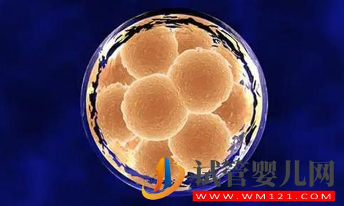 達州哪里做試管嬰兒最好？(圖1)