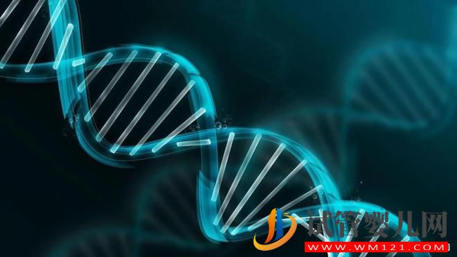 第三代試管嬰兒技術(shù)核心“PGT”(圖3) 第三代試管嬰兒技術(shù)核心“PGT”(圖3)