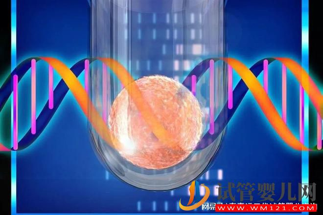 第三代試管嬰兒技術(shù)核心“PGT”(圖4) 第三代試管嬰兒技術(shù)核心“PGT”(圖4)