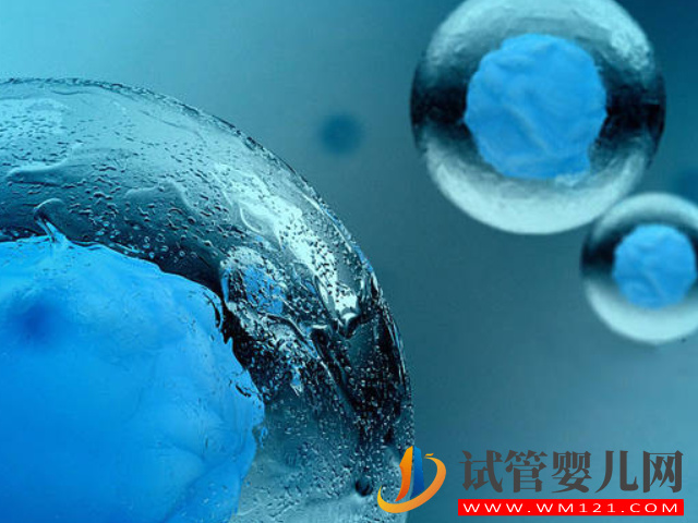 盲目凍卵對(duì)身體危害真不小,其中利弊提前知道好做正確選擇(圖2) 盲目凍卵對(duì)身體危害真不小,其中利弊提前知道好做正確選擇(圖2)