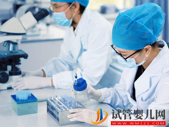 國內(nèi)正規(guī)醫(yī)院第三方供卵試管全流程,簡單五步驟只需25天(圖1) 國內(nèi)正規(guī)醫(yī)院第三方供卵試管全流程,簡單五步驟只需25天(圖1)