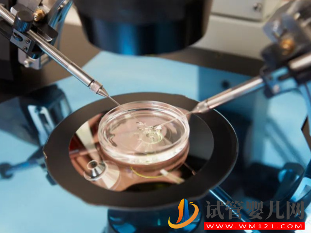 國內(nèi)正規(guī)醫(yī)院第三方供卵試管全流程,簡單五步驟只需25天(圖2) 國內(nèi)正規(guī)醫(yī)院第三方供卵試管全流程,簡單五步驟只需25天(圖2)