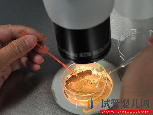 國內(nèi)正規(guī)醫(yī)院第三方供卵試管全流程,簡單五步驟只需25天(圖4) 國內(nèi)正規(guī)醫(yī)院第三方供卵試管全流程,簡單五步驟只需25天(圖4)