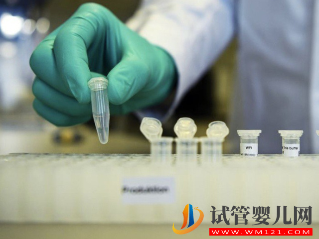 小孩打完預(yù)防疫苗不要立馬吃雞蛋,不聽勸后果“自負(fù)”(圖1) 小孩打完預(yù)防疫苗不要立馬吃雞蛋,不聽勸后果“自負(fù)”(圖1)