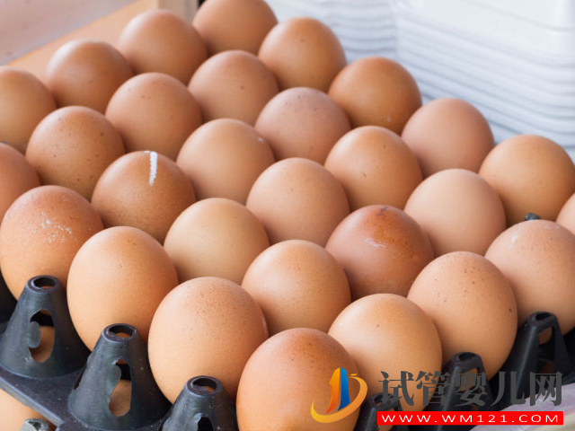 小孩打完預(yù)防疫苗不要立馬吃雞蛋,不聽勸后果“自負(fù)”(圖2) 小孩打完預(yù)防疫苗不要立馬吃雞蛋,不聽勸后果“自負(fù)”(圖2)