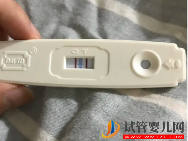 驗孕棒顯示兩條紅杠卻沒懷孕,小心是生化妊娠在“作祟”(圖2) 驗孕棒顯示兩條紅杠卻沒懷孕,小心是生化妊娠在“作祟”(圖2)