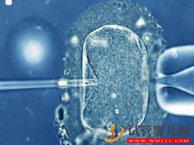 國內去泰國做三代試管嬰兒攻略，從出國到回國全程解析(圖2)