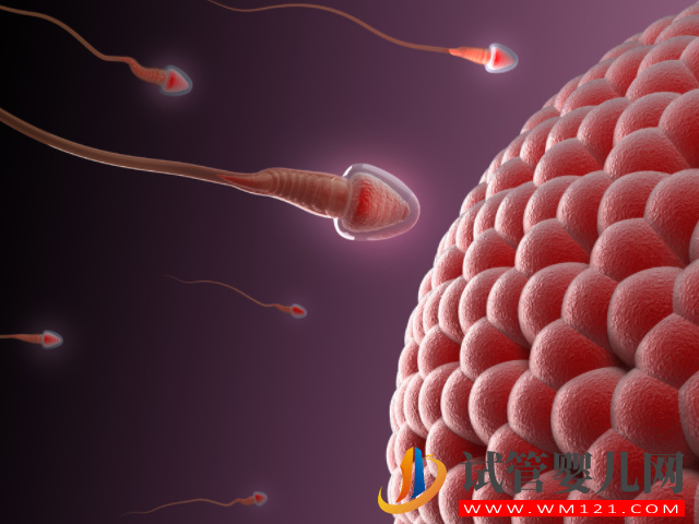 精子和卵子不受精生小孩希望渺茫，簡(jiǎn)單2招幫你提升幾率(圖1)