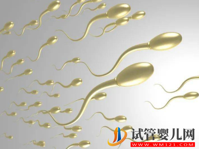 精子和卵子不受精生小孩希望渺茫，簡(jiǎn)單2招幫你提升幾率(圖2)