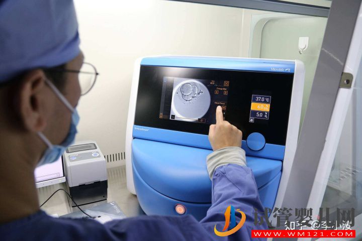做試管嬰兒前期需要做些什么準備(圖4) 做試管嬰兒前期需要做些什么準備(圖4)