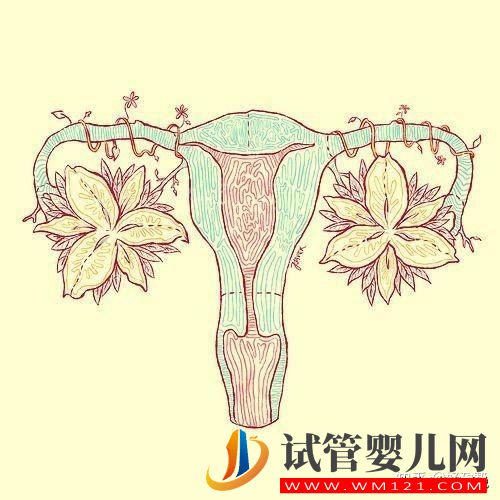 胚胎質(zhì)量好,移植卻頻頻失敗 什么原因造成?(圖2) 胚胎質(zhì)量好,移植卻頻頻失敗 什么原因造成?(圖2)