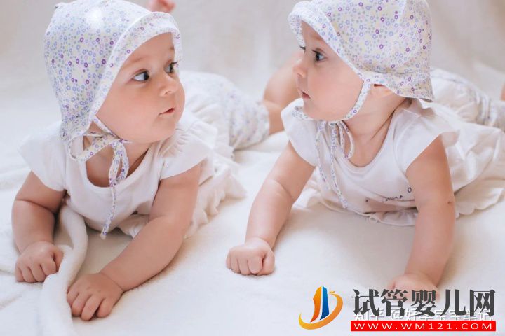 一次移植兩個囊胚,成功龍鳳胎(圖1)