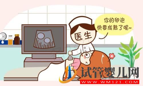 一次移植兩個囊胚,成功龍鳳胎(圖2)