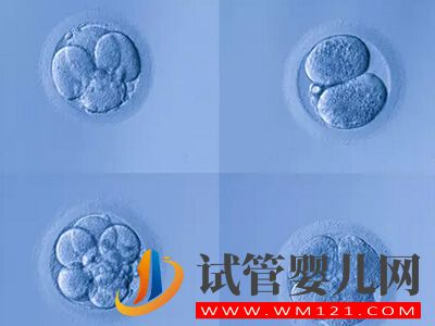 什么時候做試管嬰兒成功率最高(圖1)