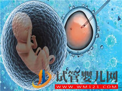 決定試管嬰兒成功與否最重要的四大因素(圖1)