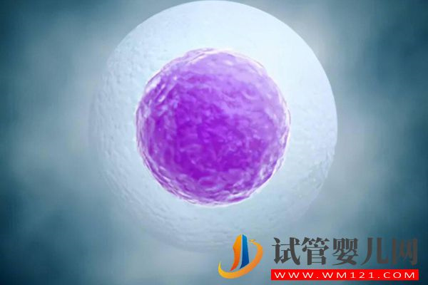 別糾結(jié)試管取卵一般取幾個(gè)比較好,只獲取6個(gè)數(shù)量并不算少(圖2) 別糾結(jié)試管取卵一般取幾個(gè)比較好,只獲取6個(gè)數(shù)量并不算少(圖2)