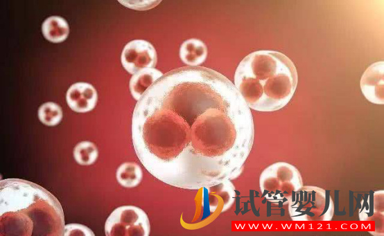 做試管養囊是什么意思(圖1)