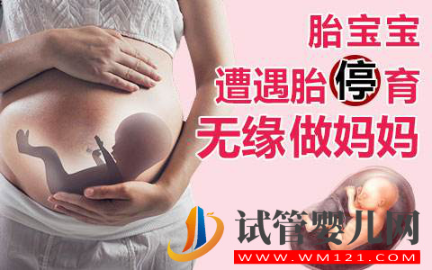 做好避免胎停才是泰國試管嬰兒的關(guān)鍵(圖1)