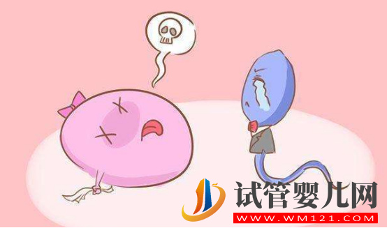 雌二醇多高有胎心胎芽(圖2)