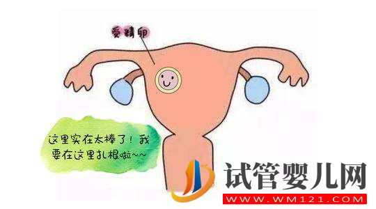 試管嬰兒檢查中子宮內膜ABC型是什么意思(圖1)