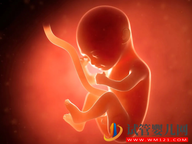 4個分辨生男女的方法超準，最早滿8周即可驗出性別(圖2)