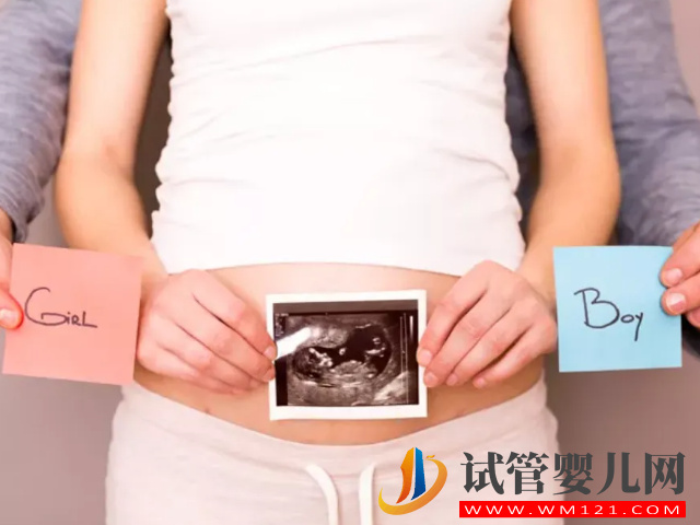 4個分辨生男女的方法超準，最早滿8周即可驗出性別(圖3)