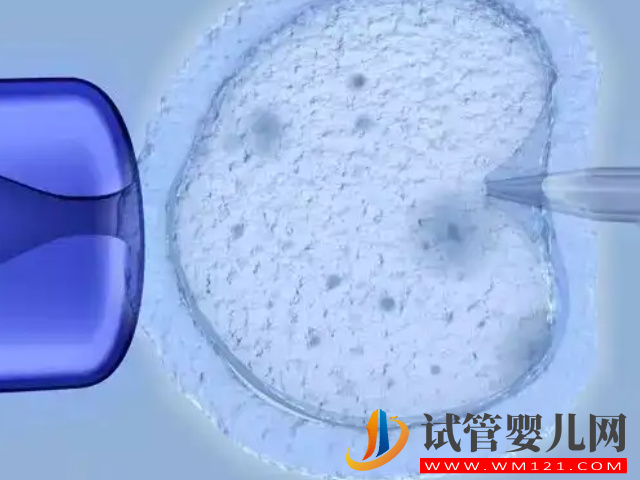 國內試管免費政策，這些家庭通過試管受孕，費用全免(圖4)