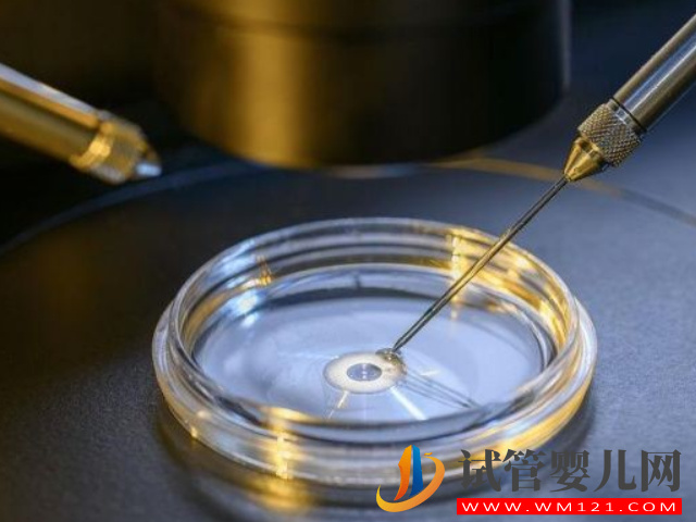 無(wú)精癥做二代試管成功案例分享，從“一無(wú)所有”到“無(wú)中生有“(圖3)