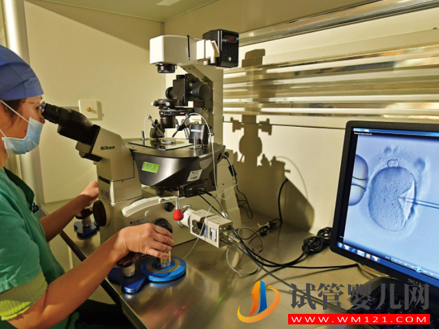 三代試管嬰兒全過程詳解，一切順利的話僅需2個月(圖1)