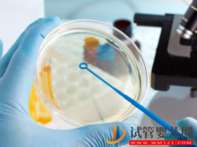 三代試管詳細流程講解,從前期檢查到移植大概就2至3個月(圖2) 三代試管詳細流程講解,從前期檢查到移植大概就2至3個月(圖2)