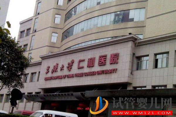 宜昌試管嬰兒醫院排名，助孕花費明細表及成功率公布(圖2)