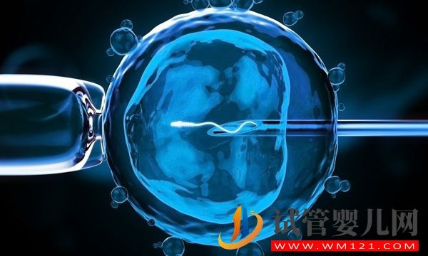 les美國合法做試管全攻略一覽,流程、費用這里都有!(圖4) les美國合法做試管全攻略一覽,流程、費用這里都有!(圖4)