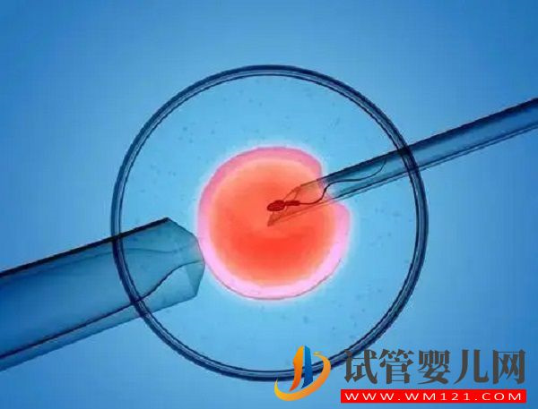 蘭州940醫(yī)院試管嬰兒費用表(圖2)