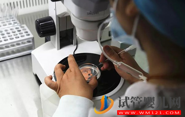 廣州供卵、地貧三代試管嬰兒費用明細,一看便知花多少(圖4) 廣州供卵、地貧三代試管嬰兒費用明細,一看便知花多少(圖4)