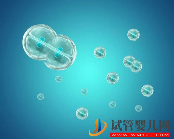 廣州供卵、地貧三代試管嬰兒費用明細,一看便知花多少(圖5) 廣州供卵、地貧三代試管嬰兒費用明細,一看便知花多少(圖5)