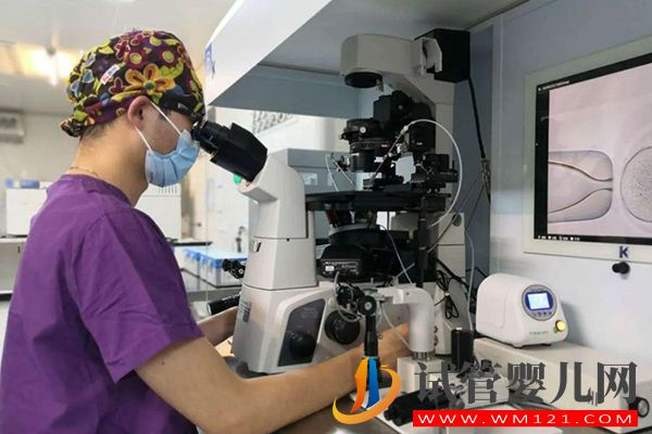 試管移植手術持續時間并不長，找準最佳時機可提高成功率(圖3)