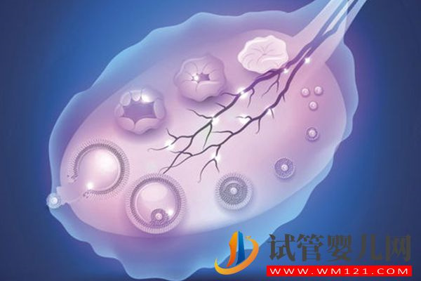 試管促排容易出空卵泡有4種情況，原來卵巢功能異常是主因(圖1)