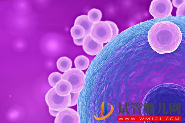 原始卵泡和始基卵泡的區(qū)別有4點(diǎn),發(fā)育時(shí)間和結(jié)構(gòu)都不一樣(圖1) 原始卵泡和始基卵泡的區(qū)別有4點(diǎn),發(fā)育時(shí)間和結(jié)構(gòu)都不一樣(圖1)