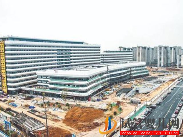 岳陽高齡試管技術哪家是最好的?(圖1)