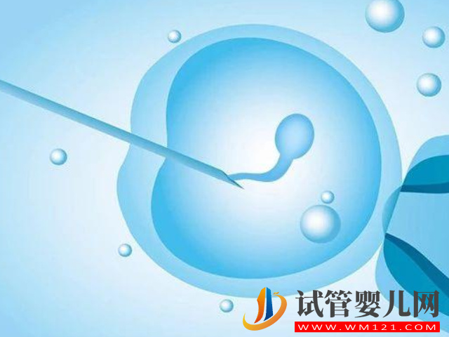 les在國外做試管生孩子需要哪些流程?(圖1) les在國外做試管生孩子需要哪些流程?(圖1)