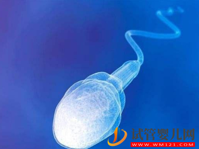 泰國(guó)的hiv精子洗滌技術(shù)是什么？(圖1)