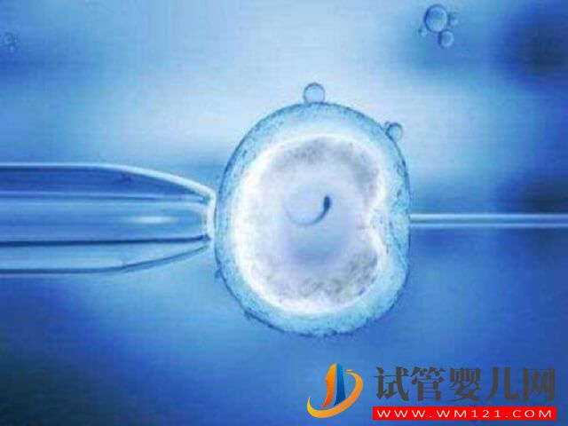寧波婦幼和113哪家醫院做試管成功率更高？(圖2)