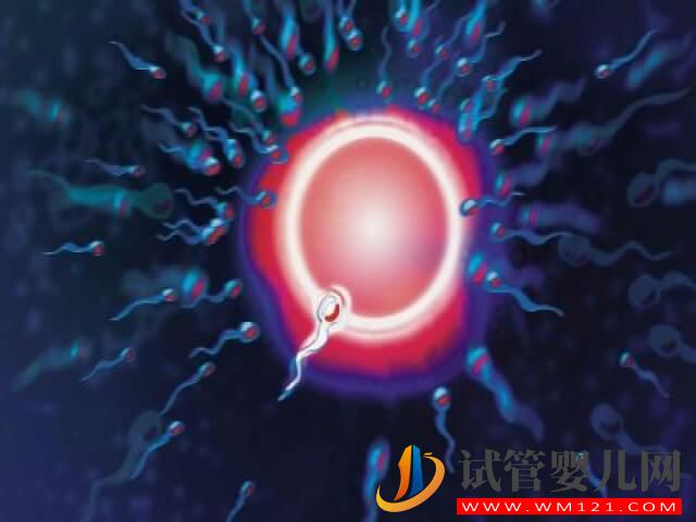 杭州做試管嬰兒選擇婦幼保健院還是邵逸夫好？(圖1)