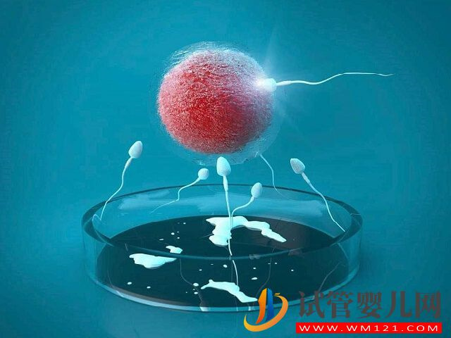 杭州邵逸夫醫(yī)院試管移植成功率高不？(圖1)