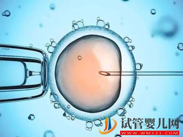 河南信陽有提供試管嬰兒輔助生殖技術嗎？(圖1)