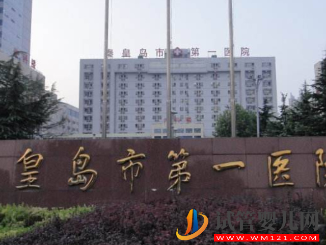 秦皇島市婦幼保健院是秦皇島最好的試管醫(yī)院嗎?(圖2) 秦皇島市婦幼保健院是秦皇島最好的試管醫(yī)院嗎?(圖2)